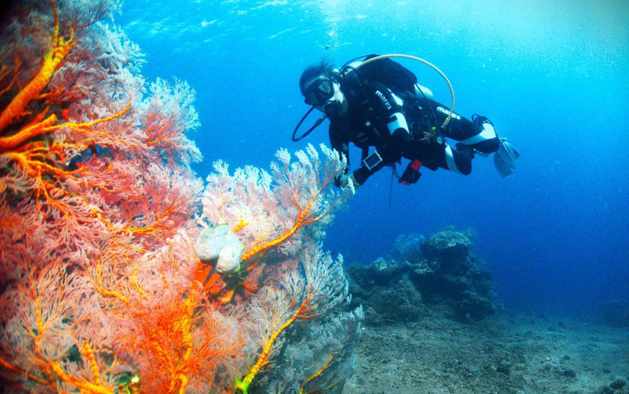 Kura Kura Divers Lodge アメッド エクステリア 写真
